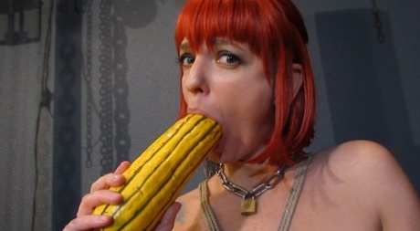 Abigail Dupree porn actress pics