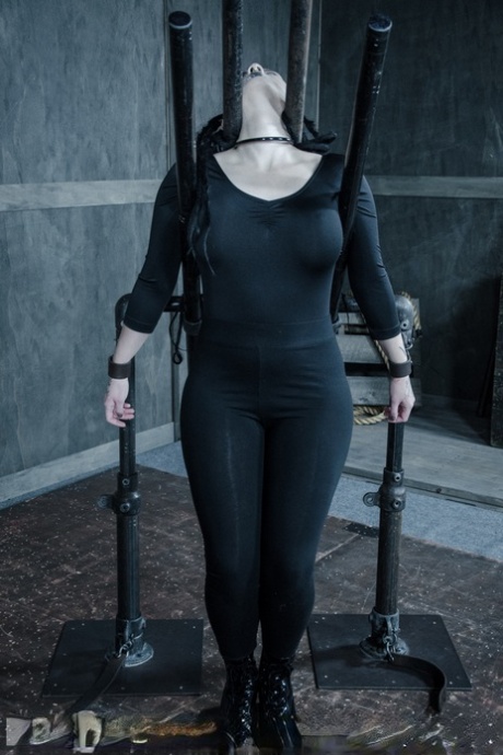 bbw bdsm nu meilleur galerie