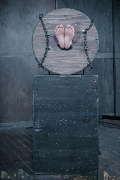 bdsm feet sexy nudes images