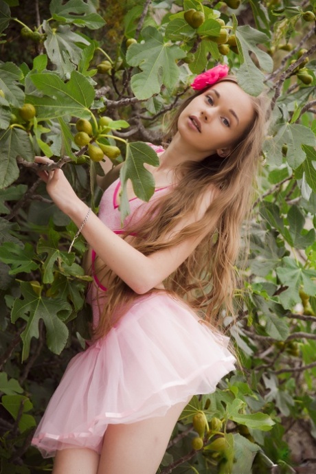 Milena D Sunna pretty pornstar gallery