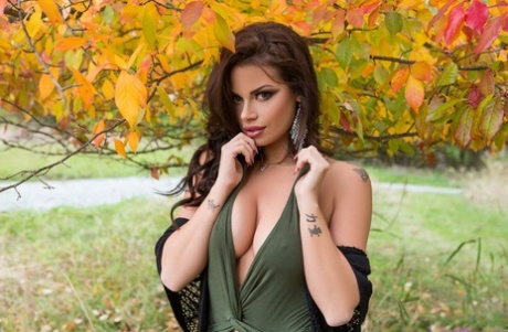 Shelly Lee free pornstar gallery