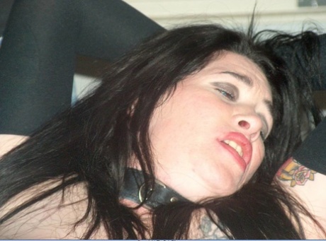 bbw ruskeaverikkö xxx yksinomainen galleria