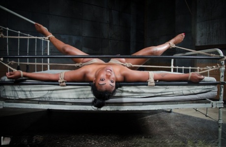 mollige bdsm hd naakten archief