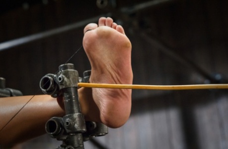 bdsm feet free xxx image