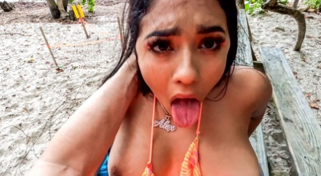 sexo en la playa arte hd galería