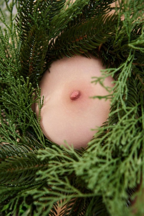 Papá Noel caliente bonita fotos