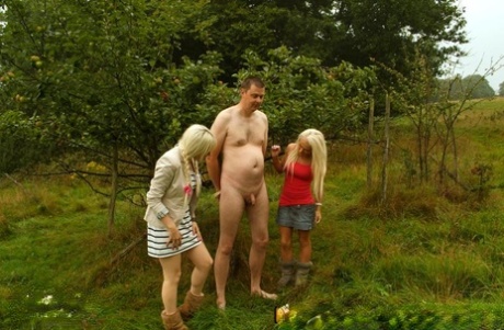 liten kuk vacker konst bilder