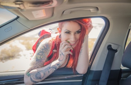 Sheena Rose pornstar art photos