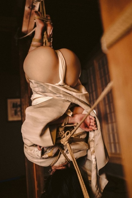 asiatisk bdsm gratis erotisk kollektion