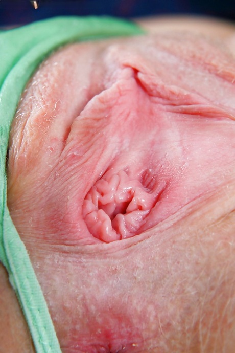 pink pussy free image