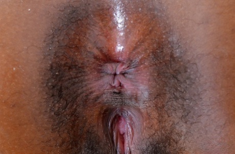 sexede bryster varm hd kollektion