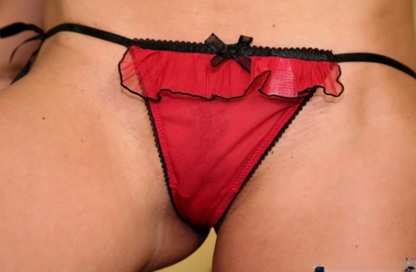 Sandra Shine best pornstar picture