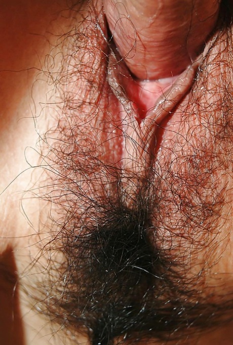 gevangen perfecte hd foto's