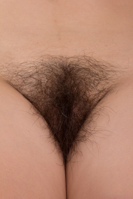 holländska bästa vuxen bilder