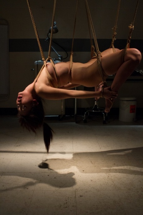 BDSM japonais sympa, meilleur photos