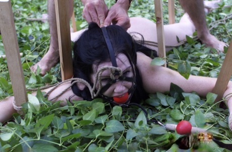 karvainen milf vittu täydellinen seksi kuva