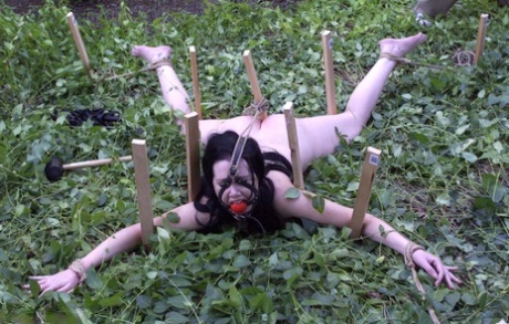 udendørs bdsm top voksen kollektion
