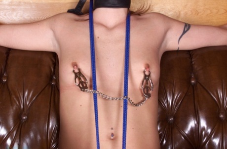 Rhiannon Bray art pornstar image
