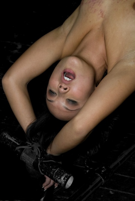 Jandi Lin perfect star gallery