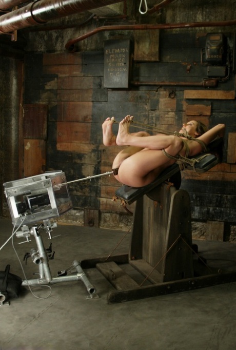 Sasha Sparks high quality star archive