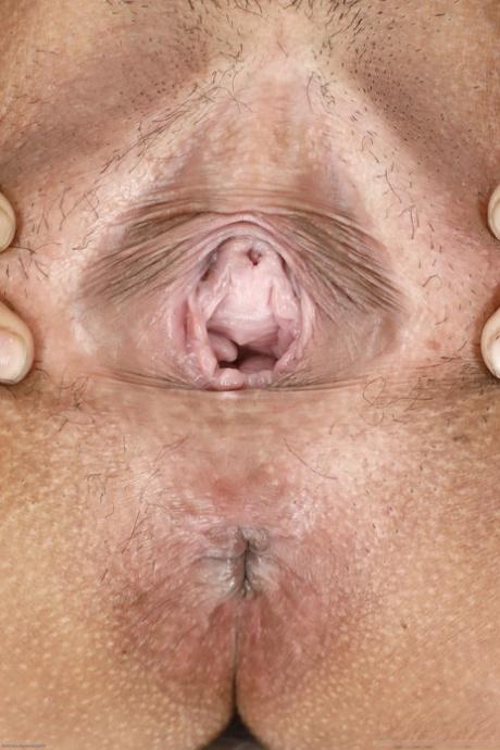 chatte dadolescente en gros plan belle gratuite photo