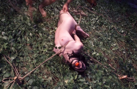 丰满的 bdsm 獨家的 圖片
