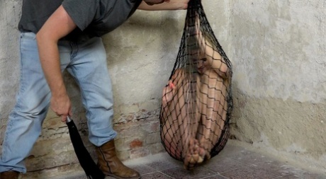 bdsm fødder xxx top kollektion