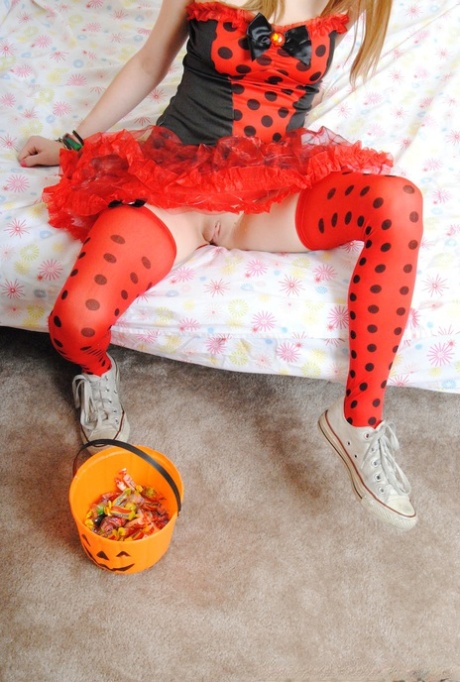 Lady Bug model img