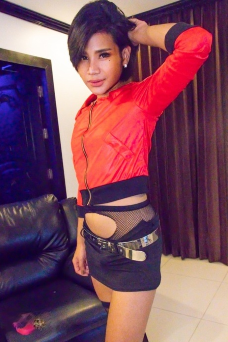 Ladyboy Jenny pornstar free image