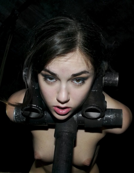 Sasha Grey exclusive actress pictures