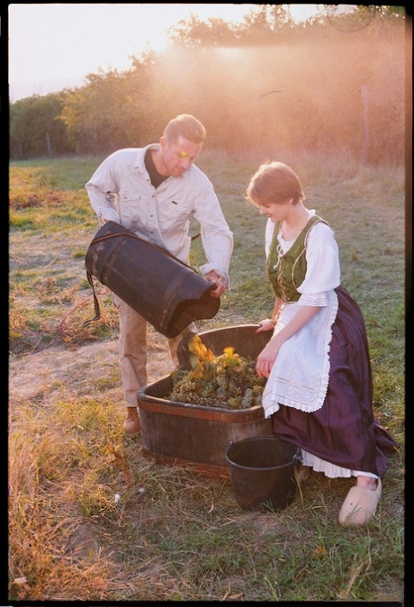 farm top photos