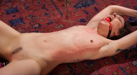 Lilith Luxe porn star image