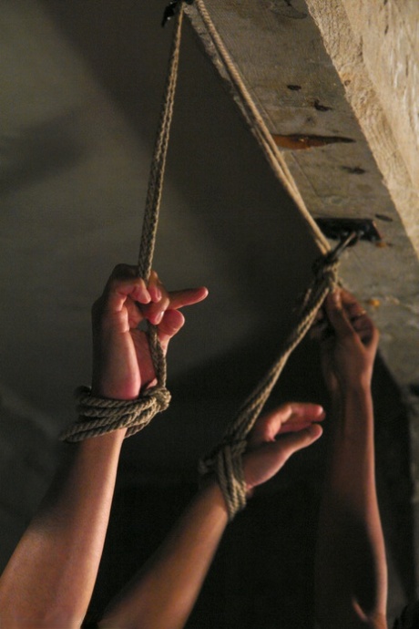 人妖 bdsm 美麗的色情 影像