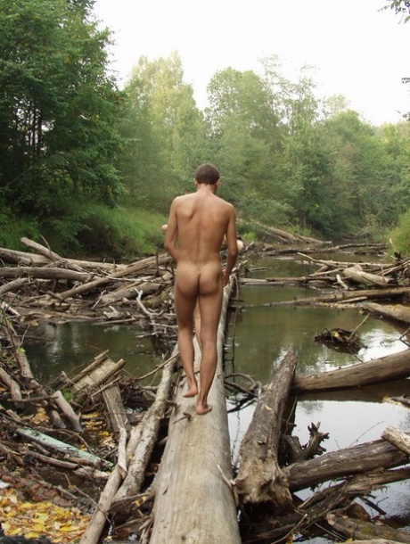 floresta bastante exclusivo imagens