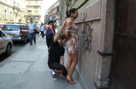 bdsm público mejor xxx foto