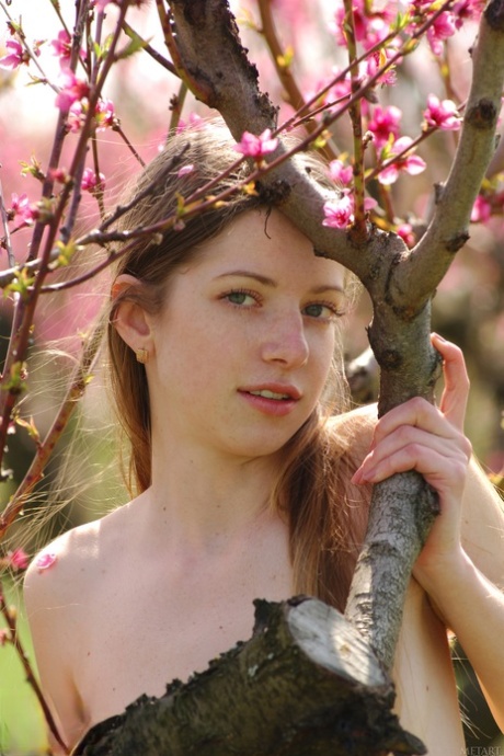 Mika Ameli pornographic model img