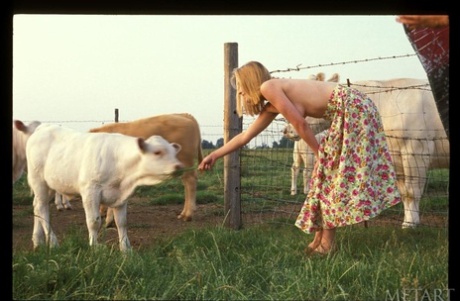 farm pornographic galleries