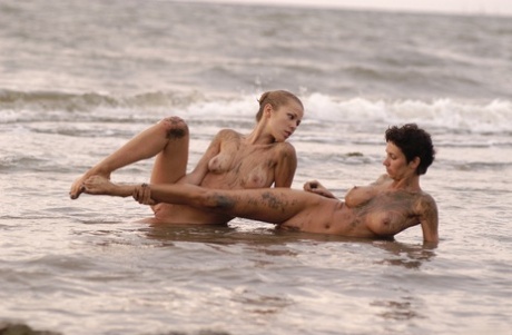 flexible best galleries