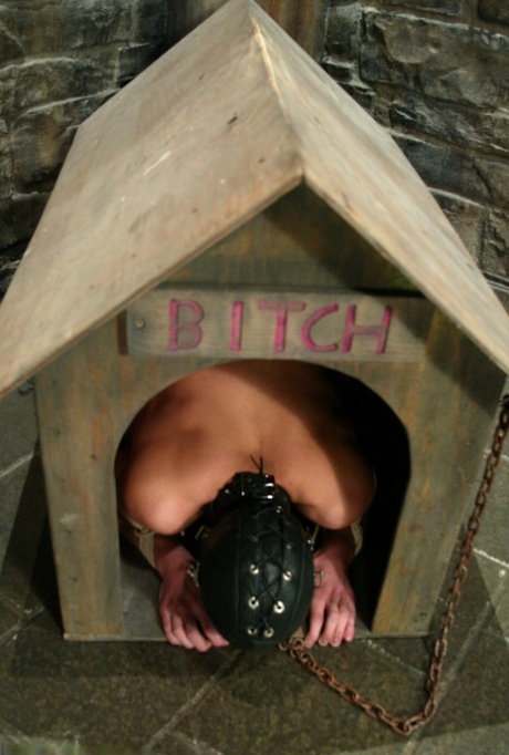 Danny Wylde erotic star gallery