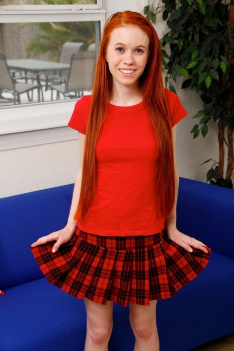 Dolly Little pornstar best images