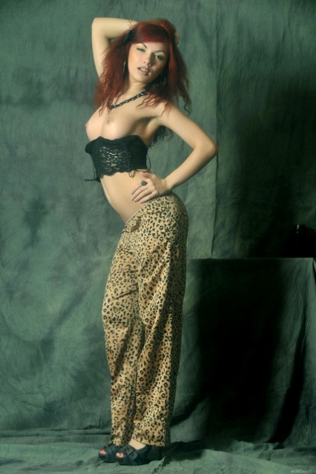 Diana Siefert nice star galleries