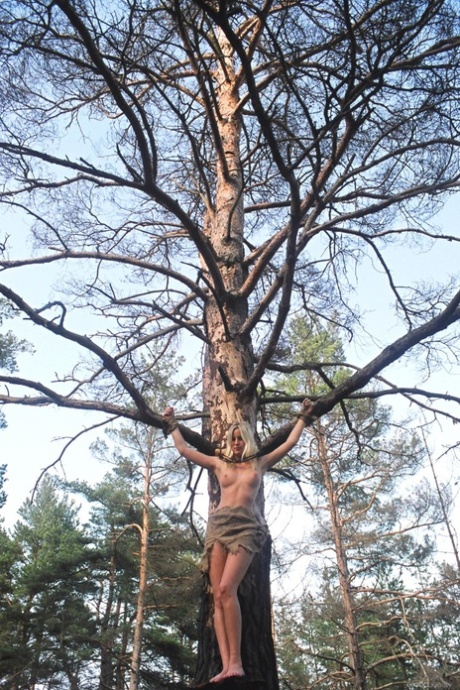 бдсм на вулиці сексуально безкоштовно галерея