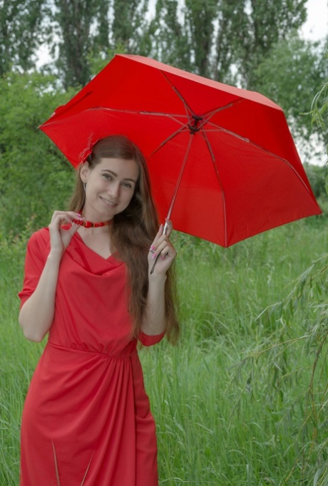 openlucht- gratis mooi foto