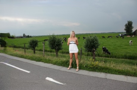 Nederlands hd afbeeldingen