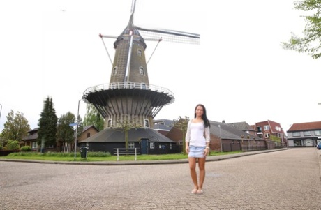 Belanda atas gambar