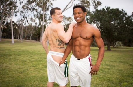 bbc gay free sexy archive