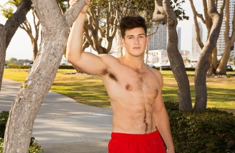 hairy gay porno images