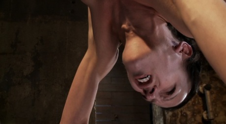 Elise Graves star pornographic pictures