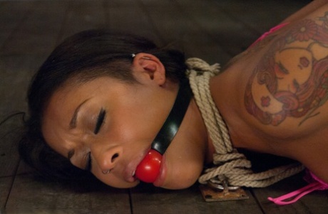 Skin Diamond star free pics