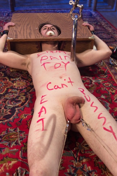 Slave Fluffy erotic pornstar pictures